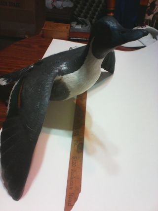 Hand Carved Painted Pintail Drake Flying Wood Duck Decoy Casey Edwards 2