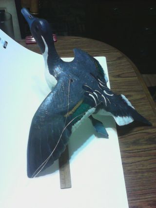 Hand Carved Painted Pintail Drake Flying Wood Duck Decoy Casey Edwards 3