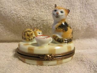 Vintage Signed Limoges Peint Main France Calico Kitten Cat Trinket Box Porcelain