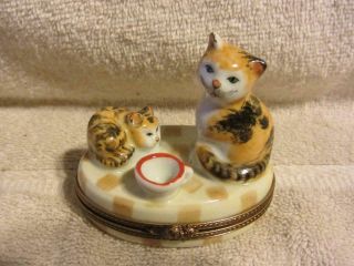 vintage signed Limoges peint main France calico kitten cat trinket box porcelain 2