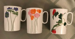 Vintage Set of Three (3) BLOCK Langenthal China FLORAL PORTRAITS Mug Henry Evans 4