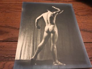 1950’s Vintage Male Model Beefcake Photo 8x9.  5 Kris Studios? Gay Interest 14