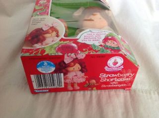 Vintage Strawberry Shortcake Doll With Strawberrykin Berrykin Rare 7