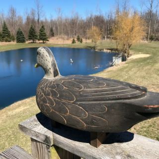 VINTAGE BLACKDUCK FRANK CUMMINGS HARSON ISLAND,  LAKE ST CLAIR 7