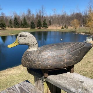 VINTAGE BLACKDUCK FRANK CUMMINGS HARSON ISLAND,  LAKE ST CLAIR 8