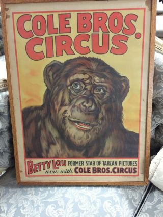Framed Vintage Cole Bros.  Circus Poster/betty Lou/tarzan