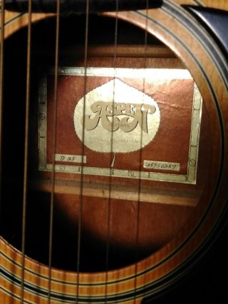 RARE Vintage 1976 Aspen D - 25 Acoustic Guitar.  Guitar made in Japan. 2