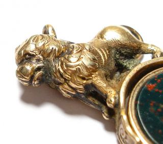ANTIQUE VICTORIAN LION SWIVEL FOB FOR A POCKET WATCH CHAIN AF 2