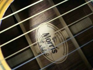 Morris Acoustic Guitar W - 40 rare JAPAN EMS F/S 3