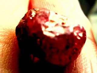 12.  00 Ct.  Rare Red Rough Diamond Gem Grade Transparent Untreated As Found.