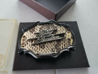 Rare Vintage Harley Davidson 1978 Raintree Brass Snake Skin Belt Buckle