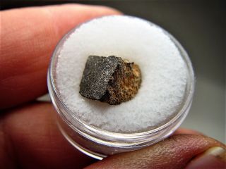 Rare Fall Outstanding Oudiyat Sbaa Enstatite Meteorite W/ Crust 1.  42 Gms