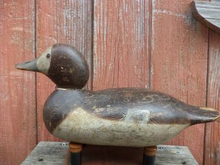 Antique Mason Bluebill Hen Decoys Tack - Eye Model Folk Art Paint