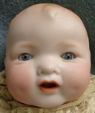 Baby Gloria Bisque Rare Baby Doll Armand Marseille Cloth Baby Body