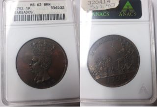 Rare 1792 Barbados Large Penny Crowned Head/neptune Anacs Ms 63