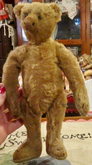 Antique C1906 10 " German Steiff Mohair Fully Jtd Teddy Bear W/shoebutton Eyes