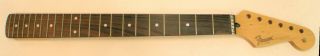 Vintage Mighty Mite Fender Usa Stratocaster Neck