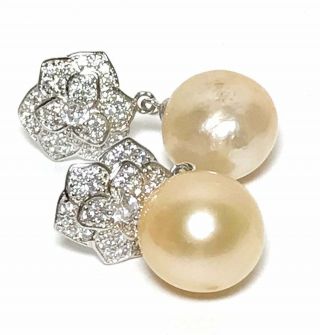 Golden Australian South Sea 12.  3 x 13.  8mm Oval Pearl Dangle Earrings 2