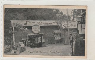 Vintage Postcard Dr Sheldons Discovery Kobe Japan Curiosity Shop 1900s
