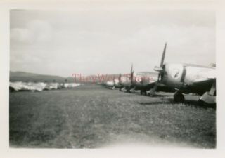 Wwii Photo - P - 47 Thunderbolt Fighter Planes W/ Nose Art In Flight - Line