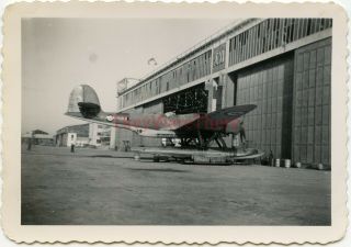 Wwii Photo - Captured Italian Cant Z.  506 Seaplane W/ Raf Markings