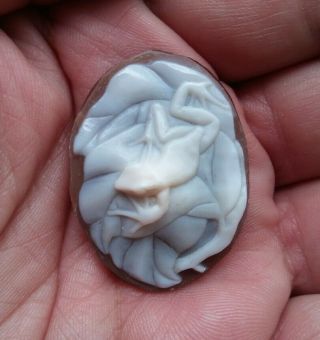 Antique Vintage Frog Cameo Beautifully Hand Carved.  Unmounted Shell Cameo