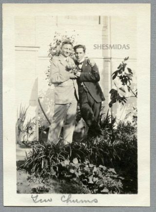 446 " Two Chums ",  Affectionate Men In The Garden,  Vintage Gay Int Photo