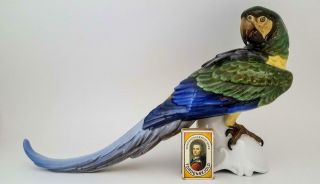 Rare 15 Inch Rosenthal Hand Painted Parrot / Macaw Bird Figurine C1935 2