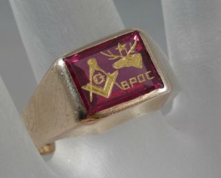 Vintage 10 Karat Rose Gold Ruby Bpoe Elk Mason Masonic Ring Sz 10.  5 10k F0512