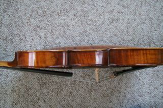 Vintage Full Size Violin Labeled Amati An Estate Instrument 5