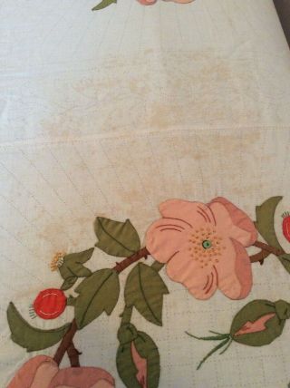 Vintage Paragon Appliqué Quilt Top From Kit: Wild Rose Wreath 6