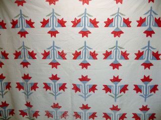 Q27 - Vintage Quilt,  Red & Blue Flower Or Tulip Design,  Hand Quilted,  64 X 81 In.