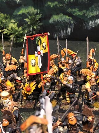 Warhammer Fantasy Empire Army,  Propainted,  Rare,  Classic,  Oop
