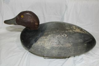 Premier Bobtail Mason Drake Redhead Duck Decoy 2