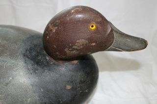 Premier Bobtail Mason Drake Redhead Duck Decoy 7