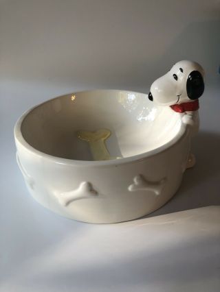 Set Of Snoopy Peanuts Vintage 1990’s Dog,  Food Dish / Water Bowl 6