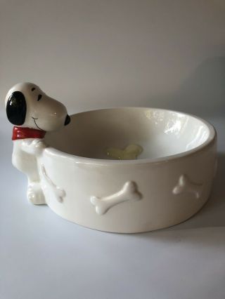 Set Of Snoopy Peanuts Vintage 1990’s Dog,  Food Dish / Water Bowl 8