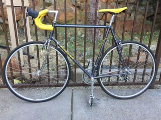 Vintage 80 ' s Razesa Road Bike Show Quality Cinelli Campagnolo Zeus Wow 3