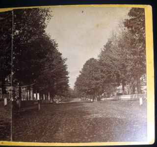 7 Antique Stereoview Cards Newport NY Herkimer School Main St Perry Park Vorhees 5