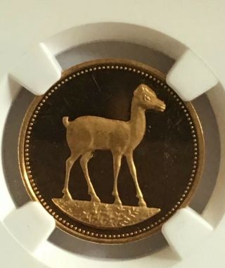 1994 Egypt 50 Pound Gold Coin Egyptian Gazelle Nearly 1/4 Oz Gold - Rare