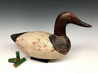 John Roth (wisconsin) Antique Canvasback Duck Hunting Decoy Decoys 1920 Old