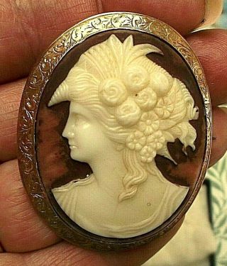 Antique Victorian C1900 9 Ct Gold Coral Shell Cameo Brooch Pin 5cm