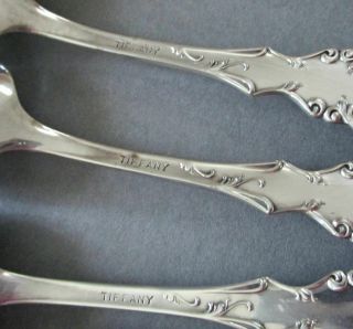 6 Antique SILVER Spoons Repousse FLOWERS Beading TIFFANY Orig Pesentation Box 8