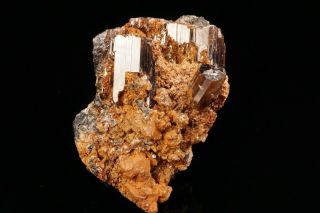 Rare Phosgenite & Anglesite Crystal Cluster Touissit,  Morocco