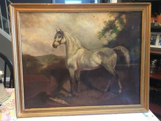 Antique 19th Early 20th Century Oil On Canvas Painting Of Horse Signed