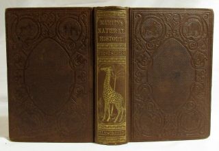 Antique 1862 MARTIN ' S NATURAL HISTORY Zoology HAND COLORED PLATES Botany 2 VOL 2