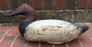 Vintage Male Hunting Duck Canvasback Upper Bay Decoy A