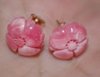Gem Quality 14k 12mm Carved Rose Flower Pink Angel Skin Coral Stud Earrings Ww