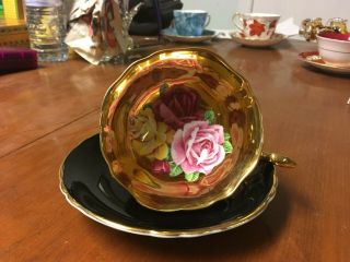 Paragon Cabbage Rose On Gold Black Tea Cup And Saucer Stunning Extremely Rare
