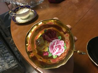 Paragon Cabbage Rose on Gold Black Tea Cup and Saucer Stunning Extremely Rare 4